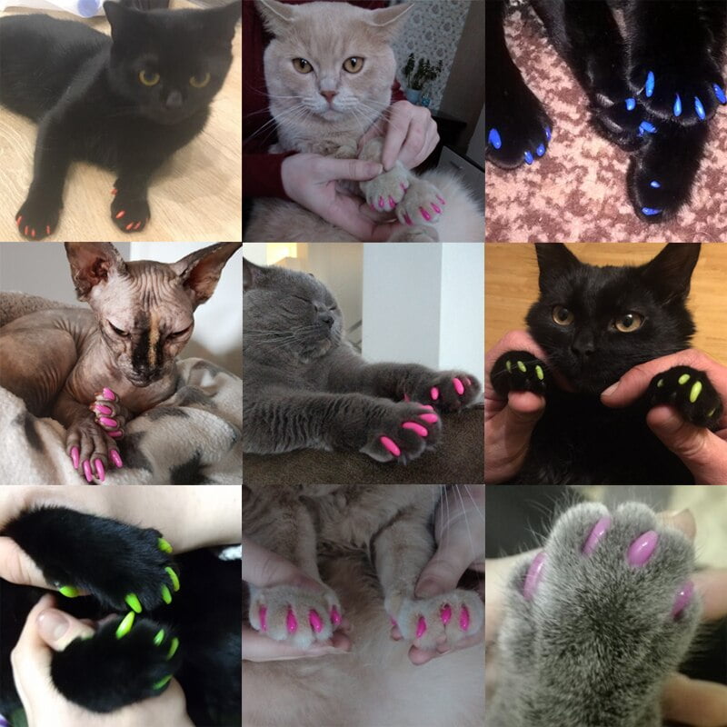 100 pcs Rubber Nail Caps For Cats Cat Kitty Kitten Paw Claw Nail Protector Cat Grooming Supplies 5 (Adhesive Glue & Applicator) - Image 2
