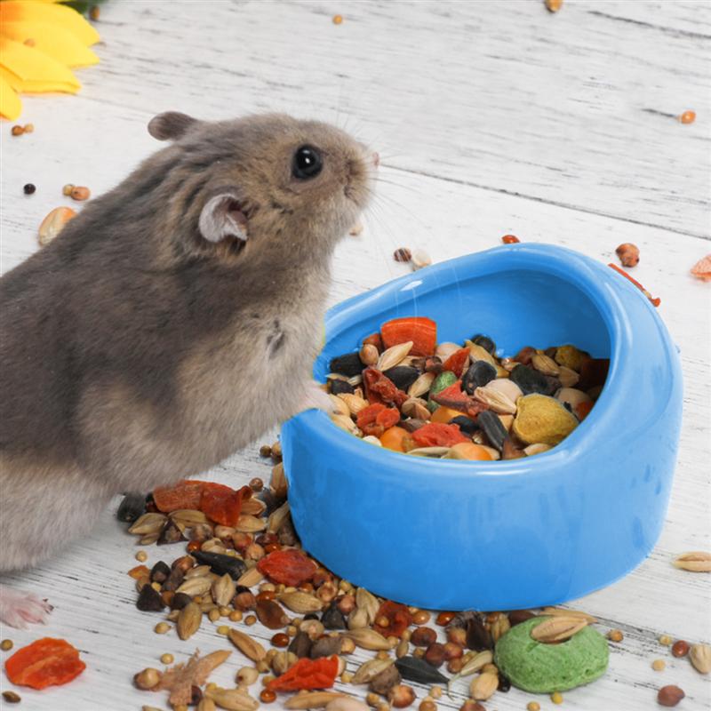 1pc Hamster Feeding Bowls Ceramic Chew Resistant Food Bowls For Small Animals Rodents Gerbil Hamster Feeding - Image 6