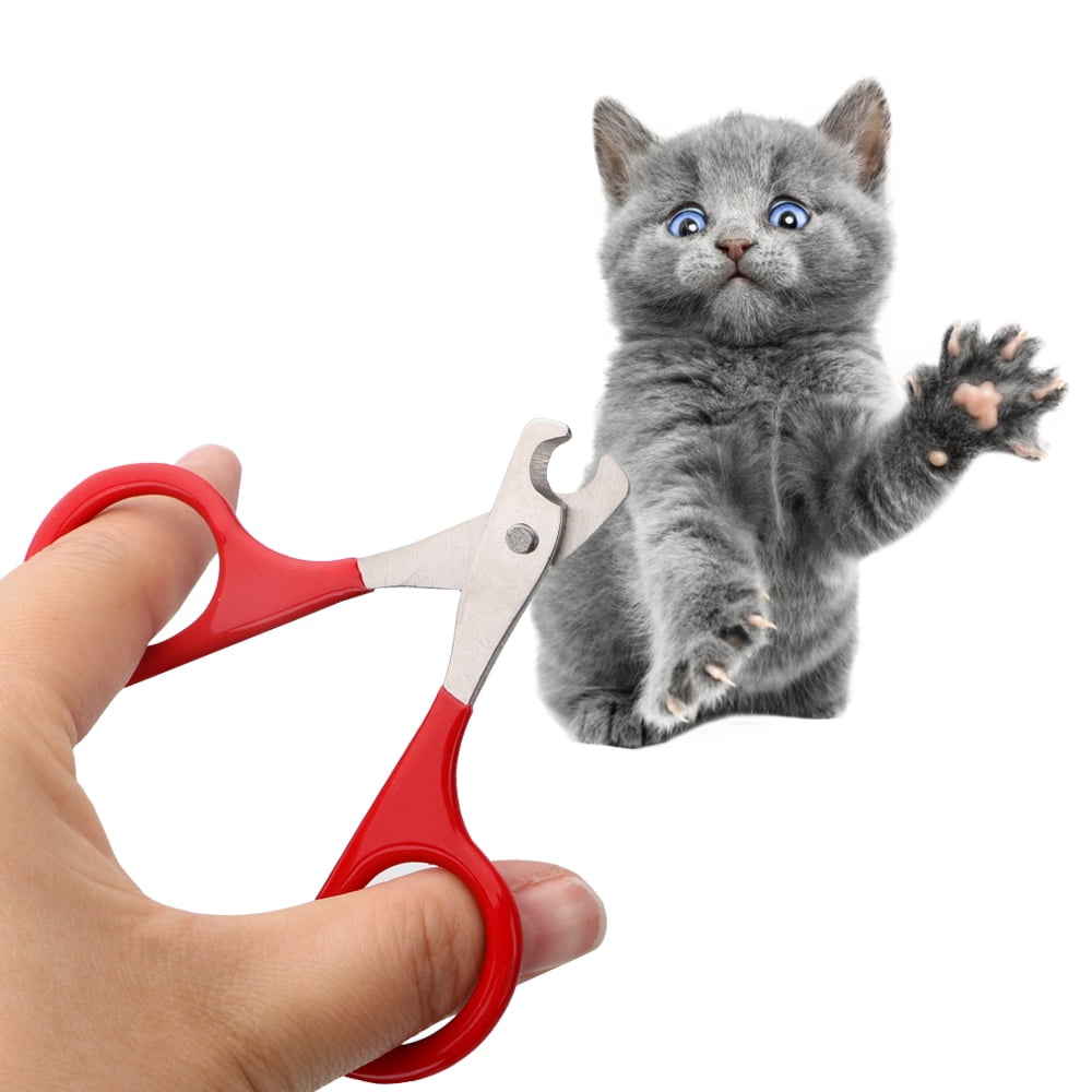 1pcs Professional Pet Dog Puppy Nail Clippers Toe Claw Scissors Trimmer Pet Grooming Products For Small Dogs Cats Puppy - Image 3
