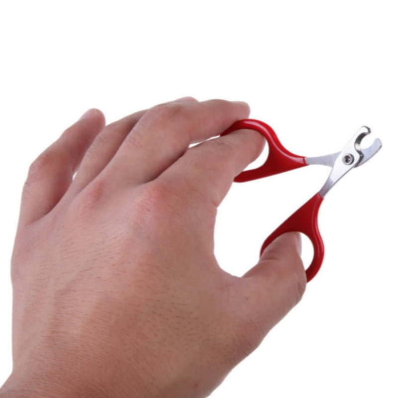 1pcs Professional Pet Dog Puppy Nail Clippers Toe Claw Scissors Trimmer Pet Grooming Products For Small Dogs Cats Puppy - Image 5
