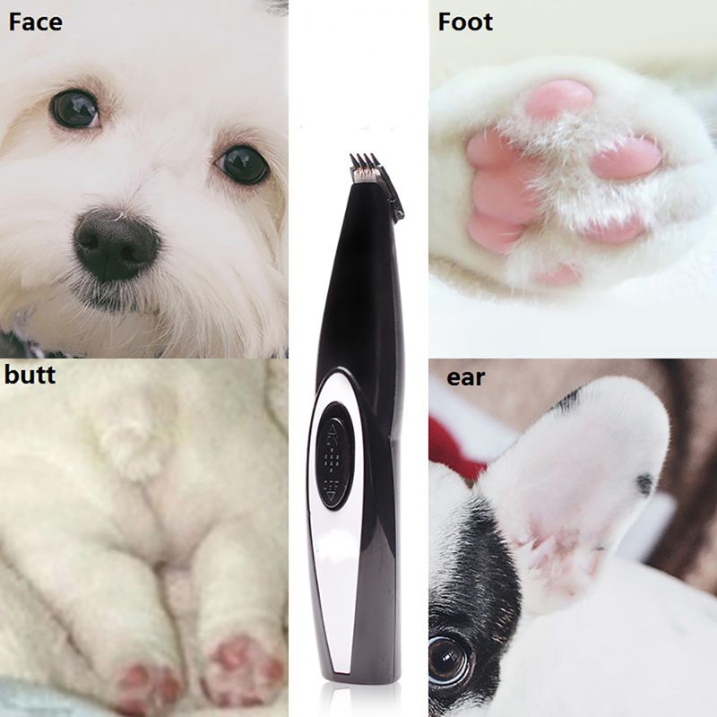 2020 New Dog Hair Trimmer USB Rechargeable Professional Pets Hair Trimmer for Dogs Cats Pet Hair Clipper Grooming Kit US Stock - Image 4