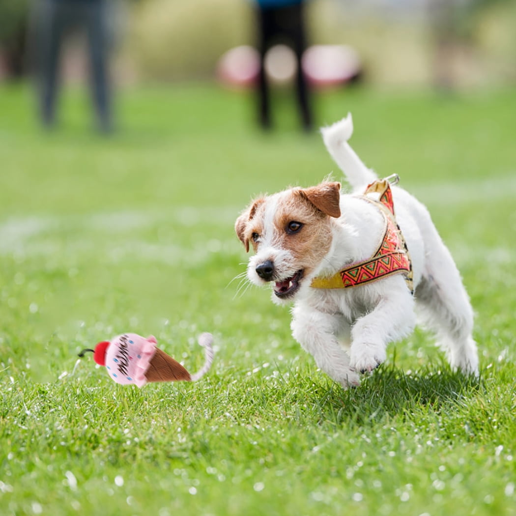 Animals Cartoon Dog Toys Stuffed Squeaking Pet Toy Cute Plush Puzzle For Dogs Cat Chew Squeaker Squeaky Toy For Pet Ice Cream - Image 4