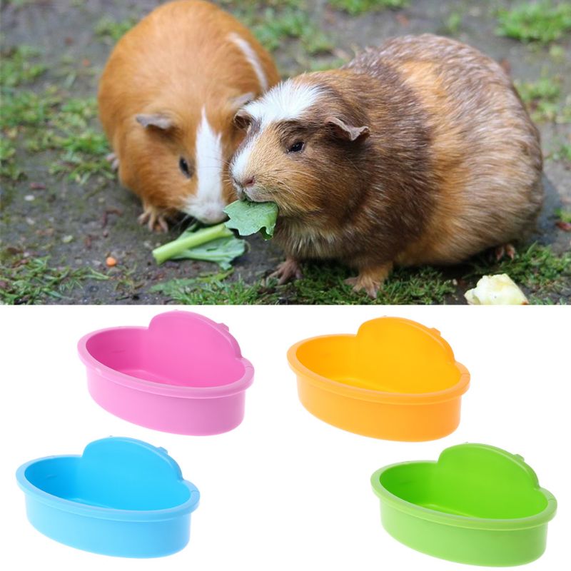 Bird Hamster Bowl Small Pet Cage Hanging Drink Food Feeder Cup Feeding Bathing Tools rabbit feeder feeding watering supplies - Image 5