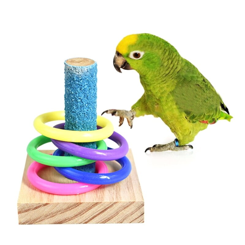 Birds Parrot Wooden Platform Plastic Rings Intelligence Training Chew Puzzle Toy Block Pet Educational Gifts - Image 4