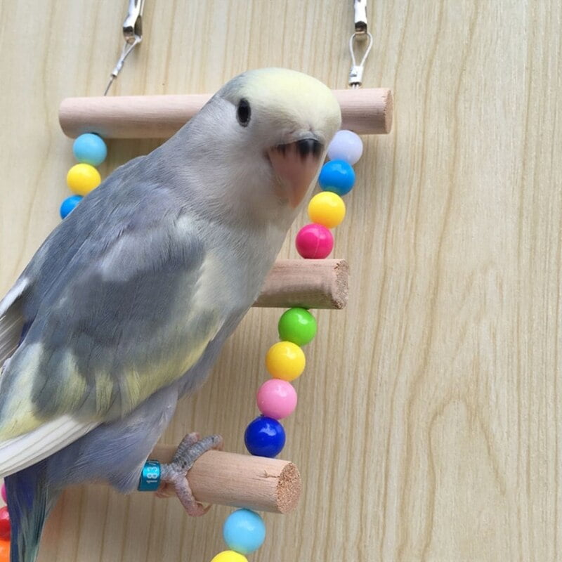 Birds Pets Parrots Ladders Climbing Toy Hanging Colorful Balls With Natural Wood Parrot Toys for Conures Parakeets Cockatiels - Image 6