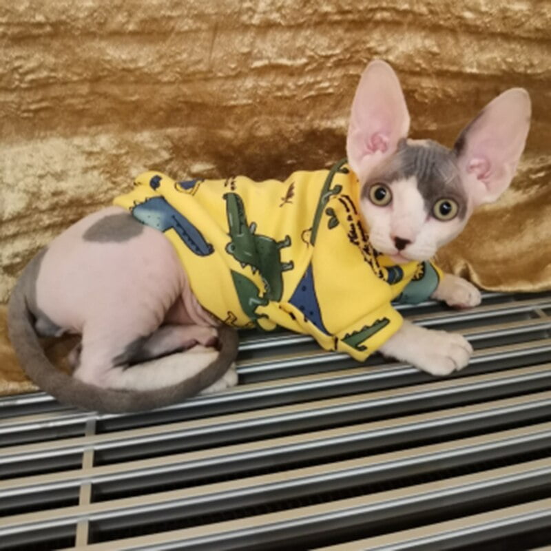 Cartoon Cat Hoodie Sweater Autumn Winter Pet Cat Clothes...