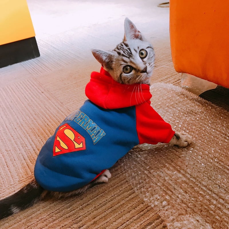 Cartoon Cat Hoodie Sweater Winter Warm Pet Cat Clothes...