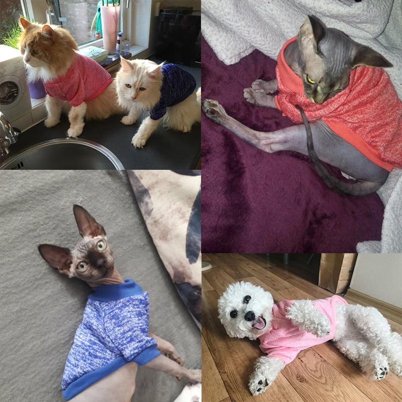 Cat Clothes Winter Warm Pet Clothing For Cats Fashion Outfits Coats Chihuahua Dog Clothes Rabbit Animals Spring Pet Supplies - Image 2