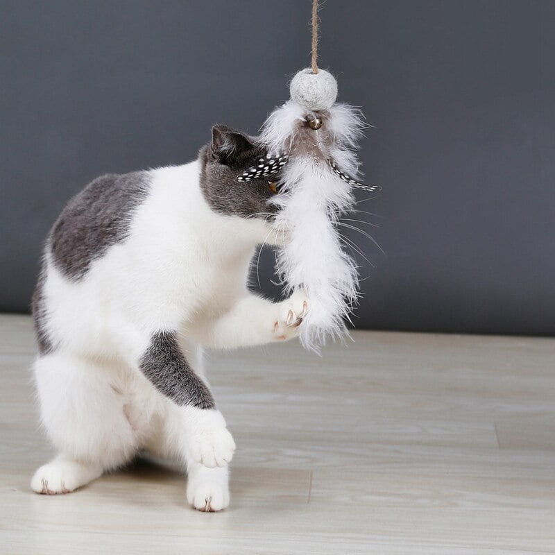 Cat Feather Chew Toys Felt Teaser Pet Kitten Tracing Molar Playing Feather Toys with Bells for Solving Boredom Cat Playing Toys - Image 6