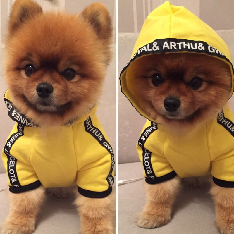 Fashion Dog Clothes Spring Pets Dogs Clothing For Small Medium Dogs Costume Leisure Dog Hoodie Chihuahua Puppy Outfit Ropa Perro - Image 4