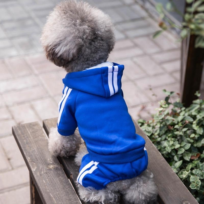Fashion Dog Clothes Winter Pets Dogs Clothing For Small Medium Dogs Coat Jacket Chihuahua Dog Costume Cartoon Pet Clothing York - Image 2