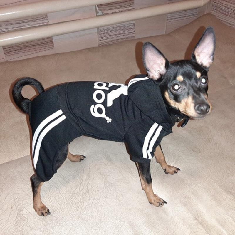 Fashion Dog Clothes Winter Pets Dogs Clothing For Small Medium Dogs Coat Jacket Chihuahua Dog Costume Cartoon Pet Clothing York - Image 3