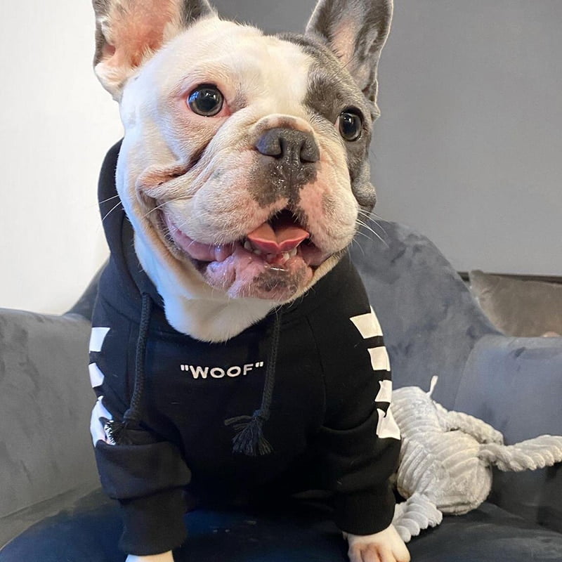 Fashion Dog Hoodie Winter Pet Dog Clothes For Dogs Coat Jacket Cotton Ropa Perro French Bulldog Clothing For Dogs Pets Clothing - Image 5