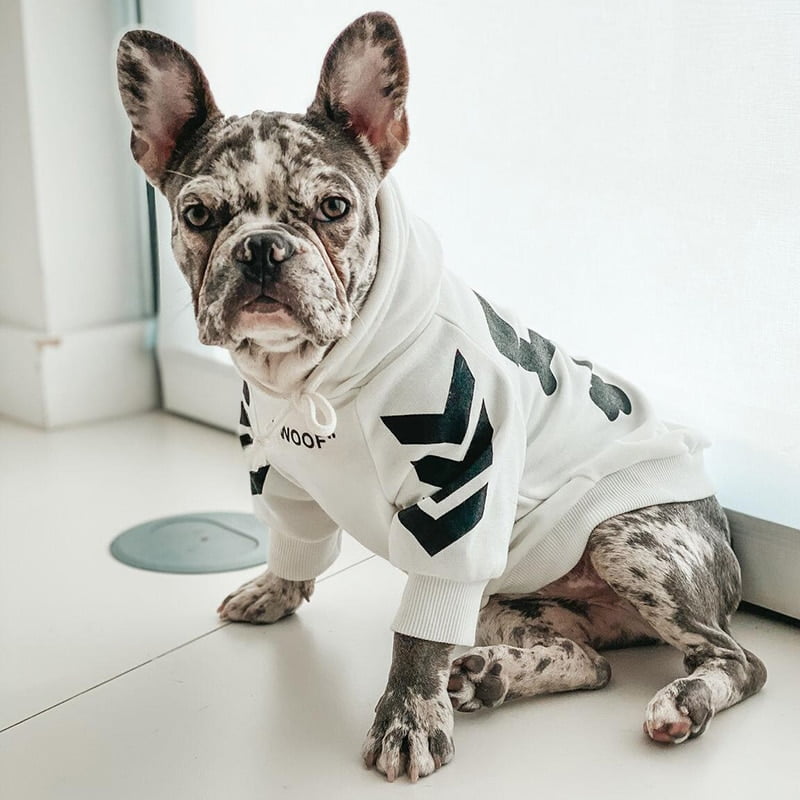 Fashion Dog Hoodie Winter Pet Dog Clothes For Dogs Coat Jacket Cotton Ropa Perro French Bulldog Clothing For Dogs Pets Clothing - Image 2