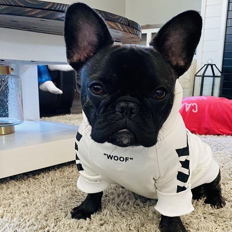 Fashion Dog Hoodie Winter Pet Dog Clothes For Dogs Coat Jacket Cotton Ropa Perro French Bulldog Clothing For Dogs Pets Clothing - Image 4