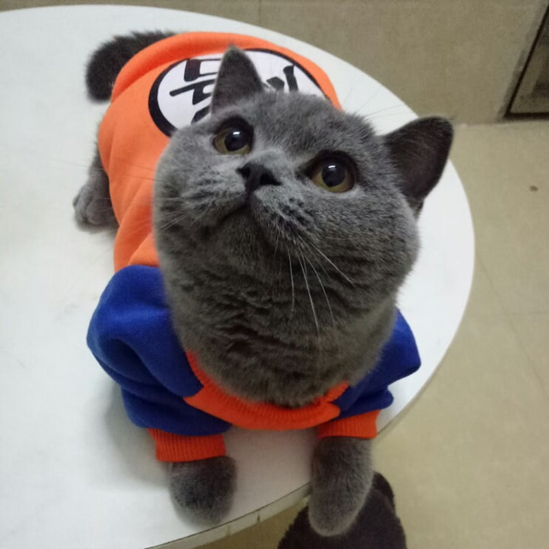 Fashion Pet Cat Costume Summer Cat Vest Hoodie Cozy Mascoats Gotos Clothes for Cats Katten Coat Kedi Clothing Sweatshirt Outfit - Image 3