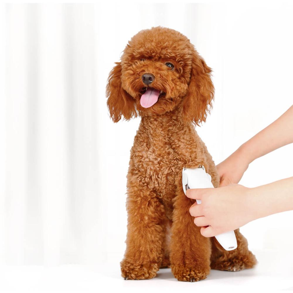 For XIAOMI MIJIA Dog Hair Trimmer Pawbby electrical clipper dog grooming Rechargeable cat hair cut machine Pet grooming product - Image 2