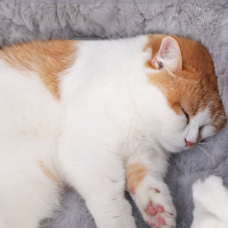 Hoopet Pet Cat Basket Bed Cat House Warm Cave Kennel for Dog Puppy Home Sleeping Kennel Teddy Comfortable House Cat Bed - Image 5