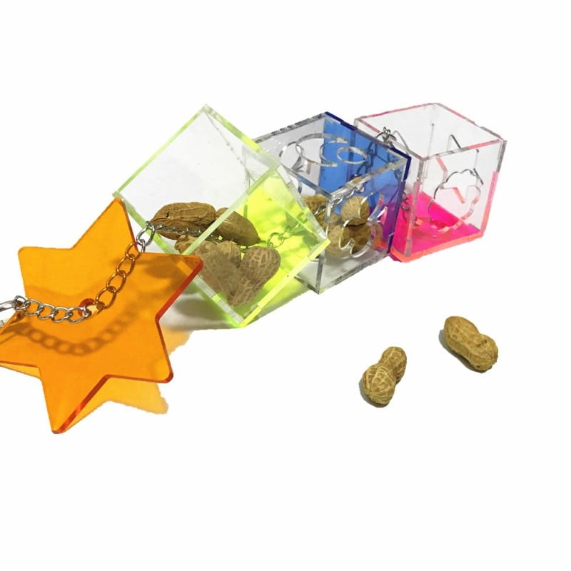 Parrot Hanging Toy 3 Layer Transparent Food Feeder Holder Hanging Forage Star Shaped Box Cage Chewing Feeding Toys - Image 2