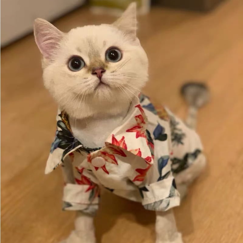 Pet Cat Clothes for Cats Spring Summer Fashion Puppy Dog Cat Vest T shirt Kitty Kitten Shirts Outfits Pet Clothing - Image 2