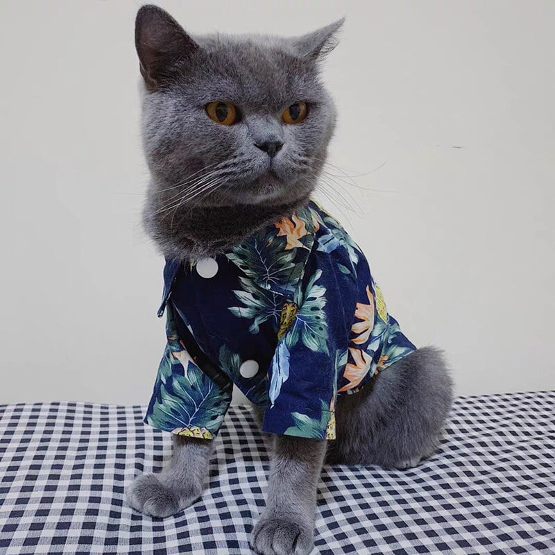 Pet Cat Clothes for Cats Spring Summer Fashion Puppy Dog Cat Vest T shirt Kitty Kitten Shirts Outfits Pet Clothing - Image 3