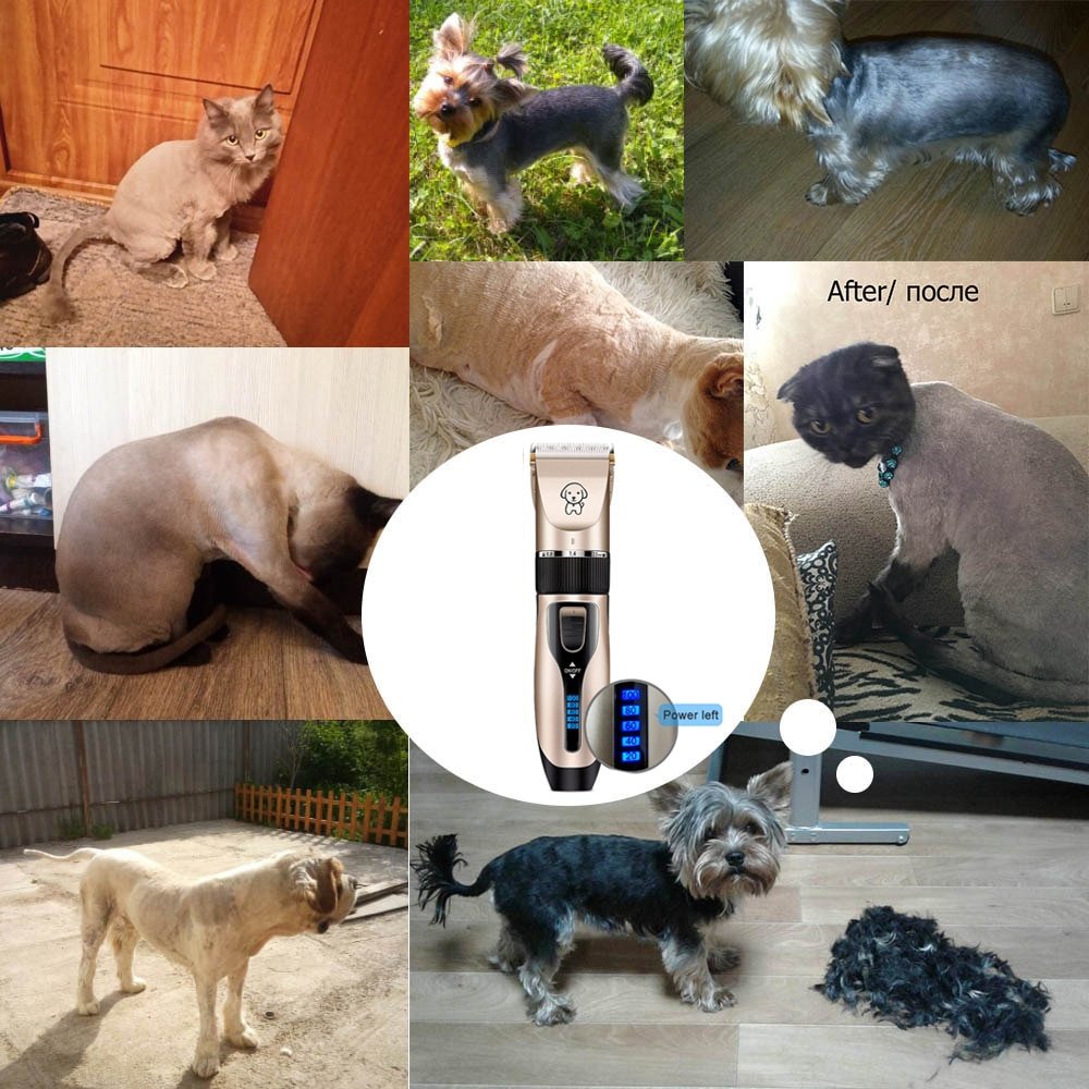 Pet Cat Dog clippers professional Dogs grooming clipper groomer kit USB Rechargeable Low-noise Pets Hair Trimmer Display battery - Image 3