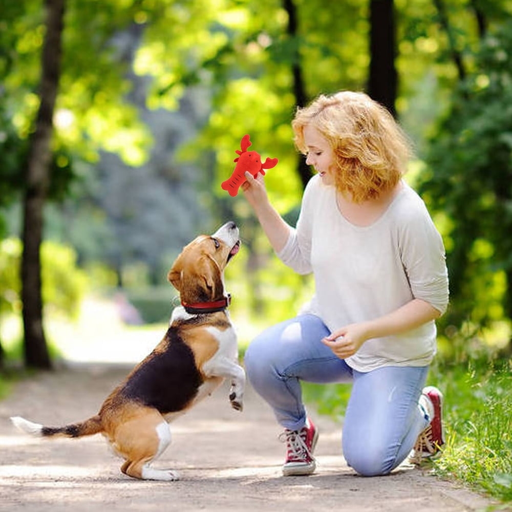 Pet Toys Dogs Cats Cute Lobster Crabs Toy Puppy Squeak Toy Chew Toys For Dog Cat Mascotas Supplies - Image 2