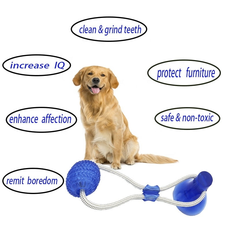 Pet Toys with Suction Cup Dog Push Toy with TPR Ball Pet Tooth Cleaning Chewing Rubber Dog Toys for Small Dogs Rubber Dog Toy - Image 3