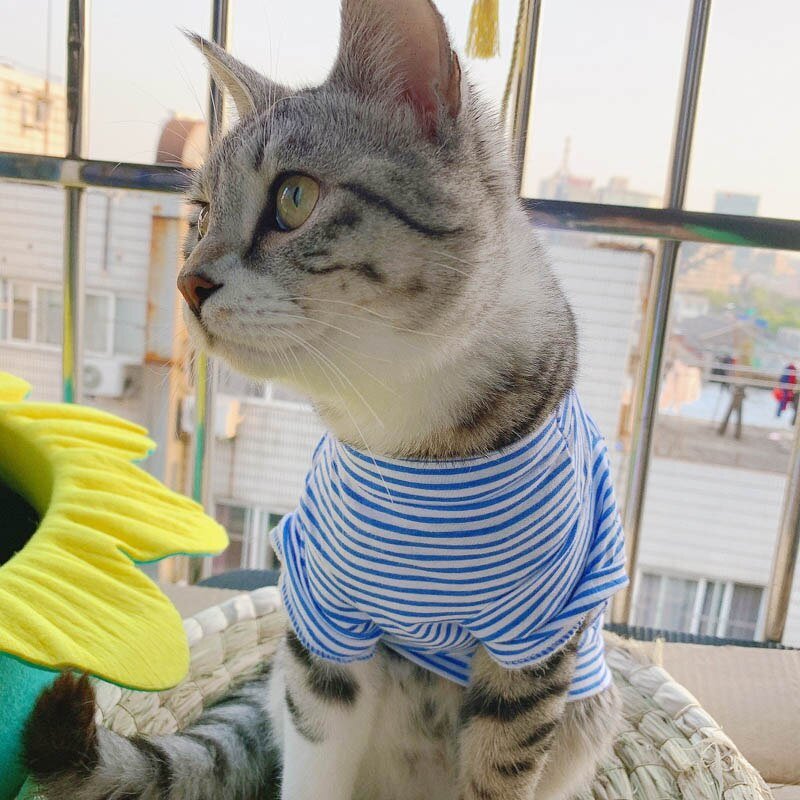 Plaid Cat Clothes Autumn Winter Pet Clothing for Small Cats Dogs Cotton Cat Costumes Soft Kitten Kitty Coat Jacket Puppy Outfit - Image 4
