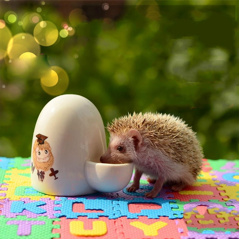 Small Animal Food Dispenser Automatic Ceramic Water...