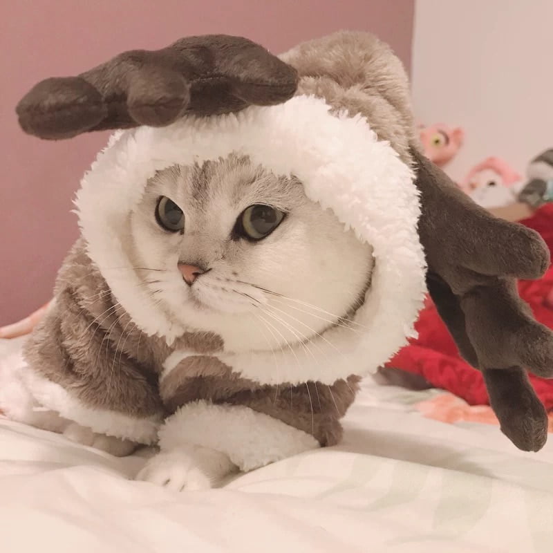 Winter Cat Clothes Warm Fleece Pet Costume For Small Cats Kitten Jumpsuits Clothing Cat Coat Jacket Pets Dog Clothes - Image 2