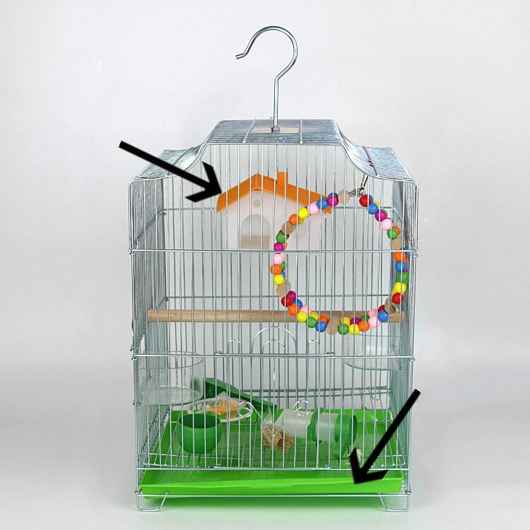 budgerigar bird cage large stainless steel electroplating cage starling brother Xuanfeng Peony wrought iron parrot cage - Image 3